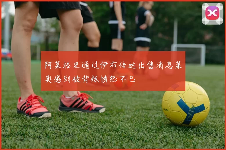 阿莱格里通过伊布传达出售消息莱奥感到被背叛愤怒不已